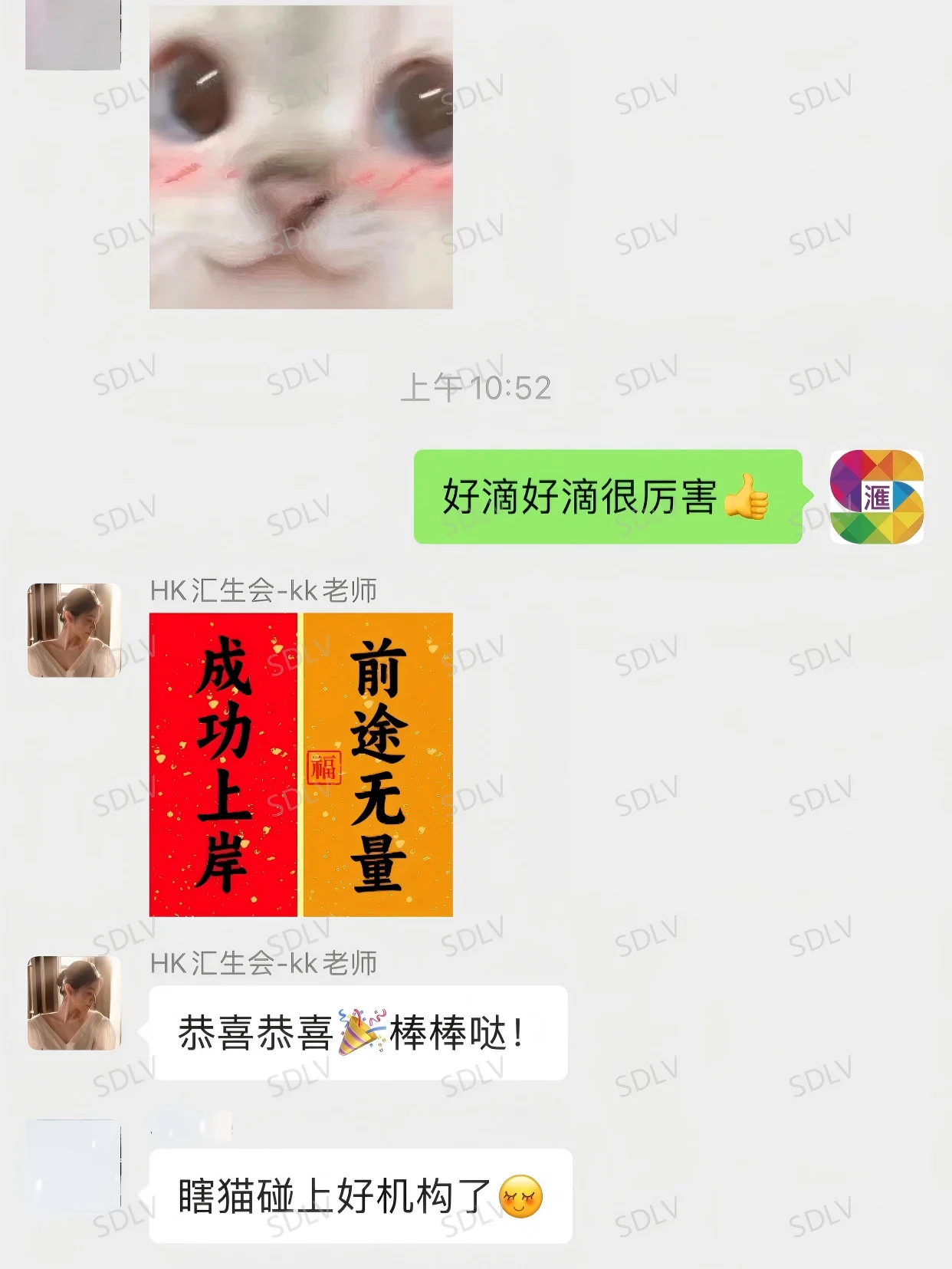 Review 8